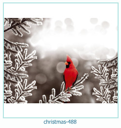 christmas Photo frame 488