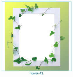 flower Photo frame 43