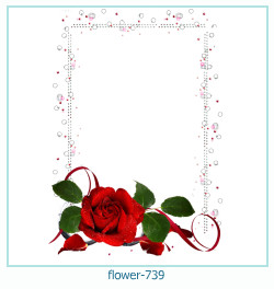 flower Photo frame 739